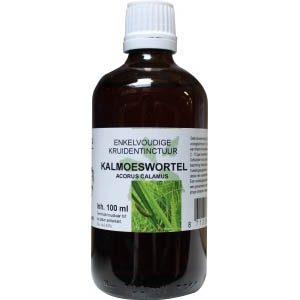 Acorus calamus / kalmoeswortel tinctuur bio