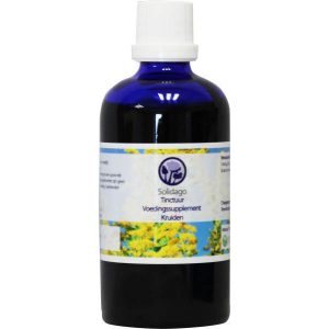 B. Nagel Solidago Tinctuur 100ml