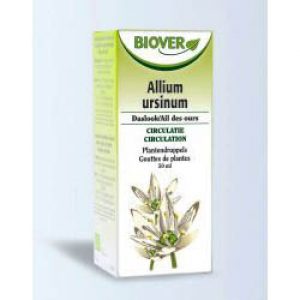 Biover Allium Ursinum / Daslook Tinctuur