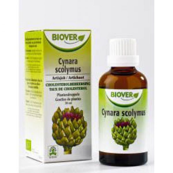 Biover Cynara Scolymus Artisjok