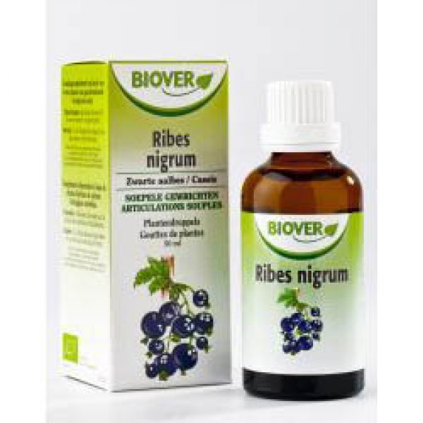 Biover Ribes Nigrum Zwarte Aalbes