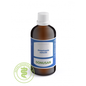 Bonusan Ampelopsis Veitchii 100ml