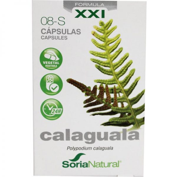 Calaguala XXI 08-S