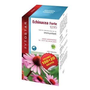 Echinacea forte 1215 maxi