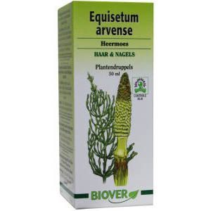 Equisetum arvense tinctuur