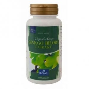 Ginkgo biloba extract 400 mg