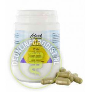 Holisan Alsem Wormwood Vegetarische Capsules 100st