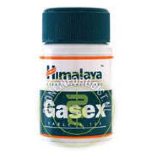 Holisan Gasex Tabletten 100st