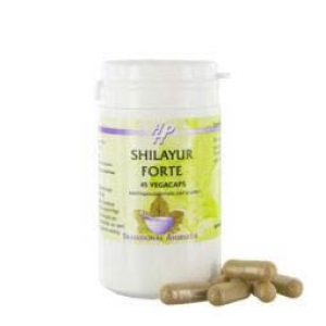 Holisan Shilayur Forte Capsules