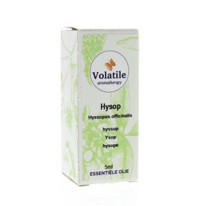 Hyssop