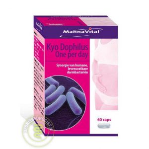 MannaVital Kyo Dophilus One Per Day Capsules