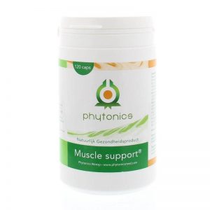 Muscle support humaan