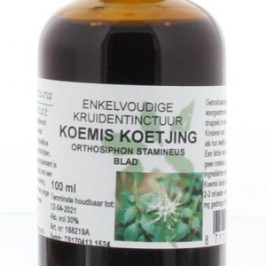 Orthosiphon stamineus / koemis koetjing tinctuur