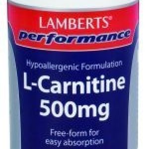 Performance L-Carnitine 500 mg