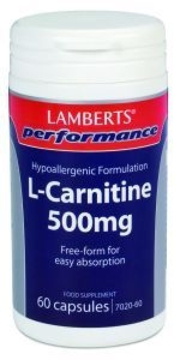 Performance L-Carnitine 500 mg