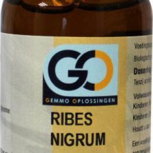 Ribes nigrum