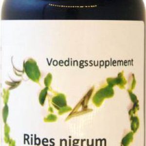 Ribes nigrum zwarte bes