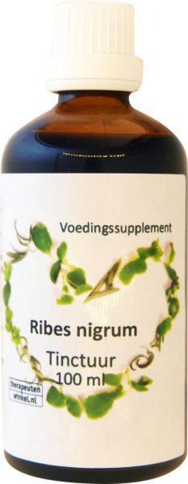 Ribes nigrum zwarte bes