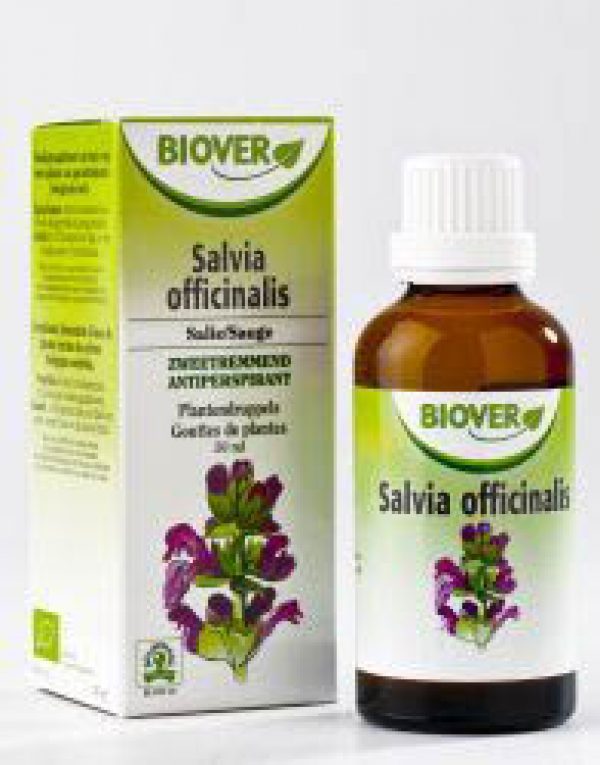 Salvia officinalis