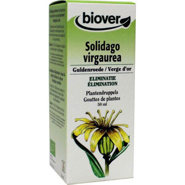 Solidago virgaurea