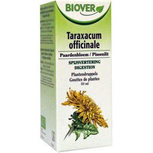 Taraxacum officinalis