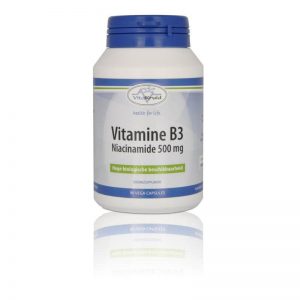 Vitakruid B3 Niacinamide 500mg Capsules