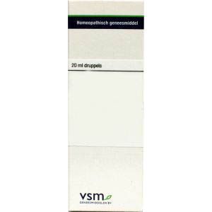 Vsm Anacardium Orientale D4 20ml