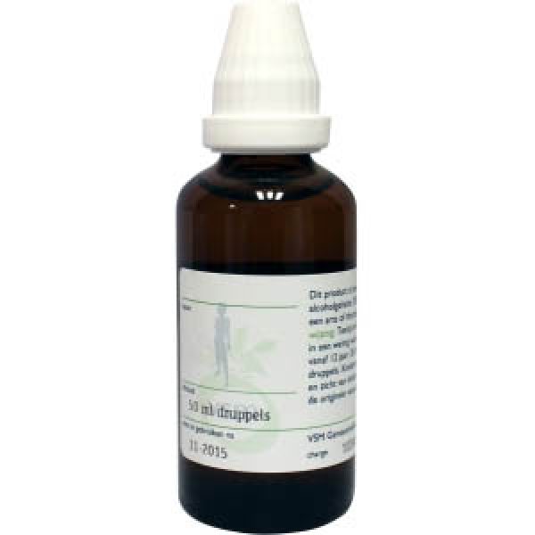 Vsm Avena Sativa Oer 50ml