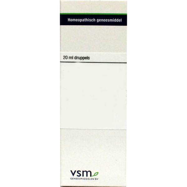 Vsm Berberis Vulgaris D4 20ml