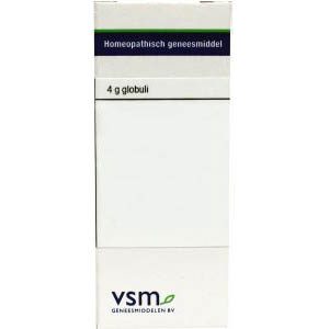 Vsm Phosphorus D200 Globuli 4G