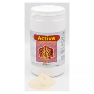 Biodream Active Poeder 800gr