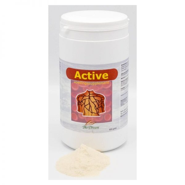 Biodream Active Poeder 800gr