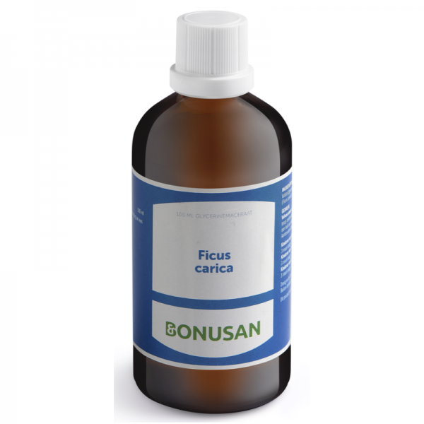 Bonusan Ficus Carica Tinctuur