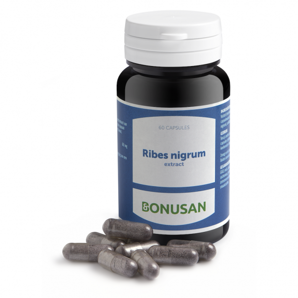 Bonusan Ribes Nigrum Extract Capsules 60st