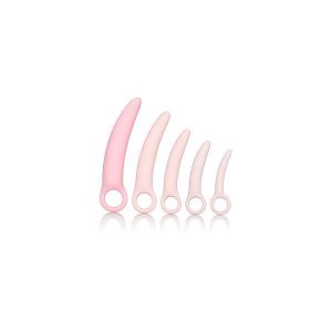 California Exotic Novelties Inspire Silicone Dilator 5 Pcs S