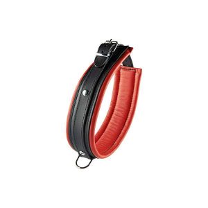 Hidden Desire Collar Red 5 Cm