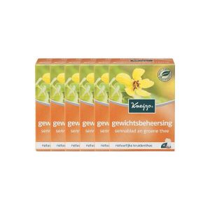 Kneipp Thee Gewichtsbeheersing Voordeelverpakking