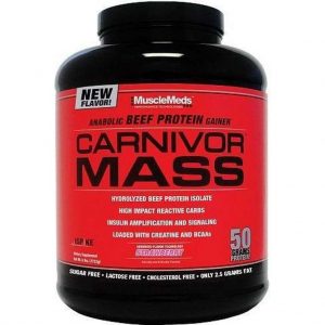 Carnivor Mass 14servings Aardbei