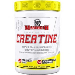 Mammoth Creatine 1000gr