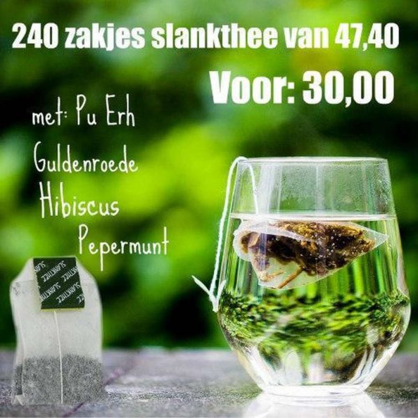 Slankthee 240 zakjes